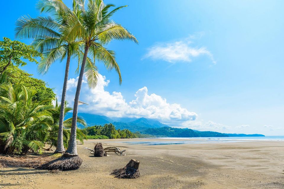 The Pacific coastline and jungle near Uvita, Costa Rica