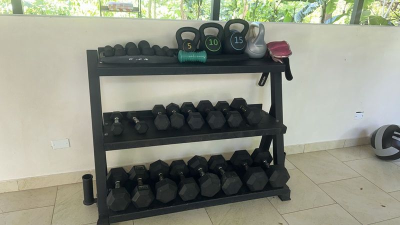 Fitness and weights area